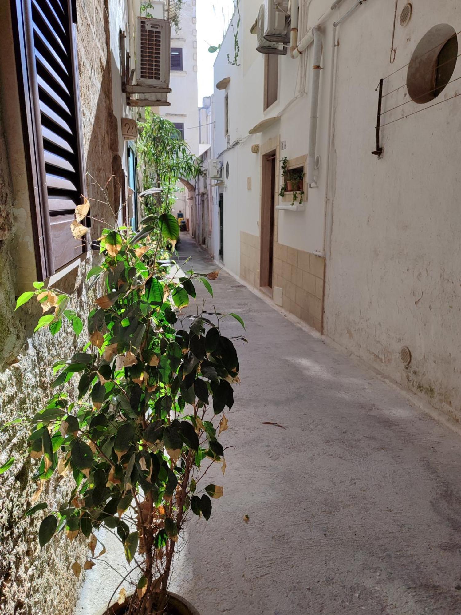 غالّيبولي B&B Punta Cutieri المظهر الخارجي الصورة
