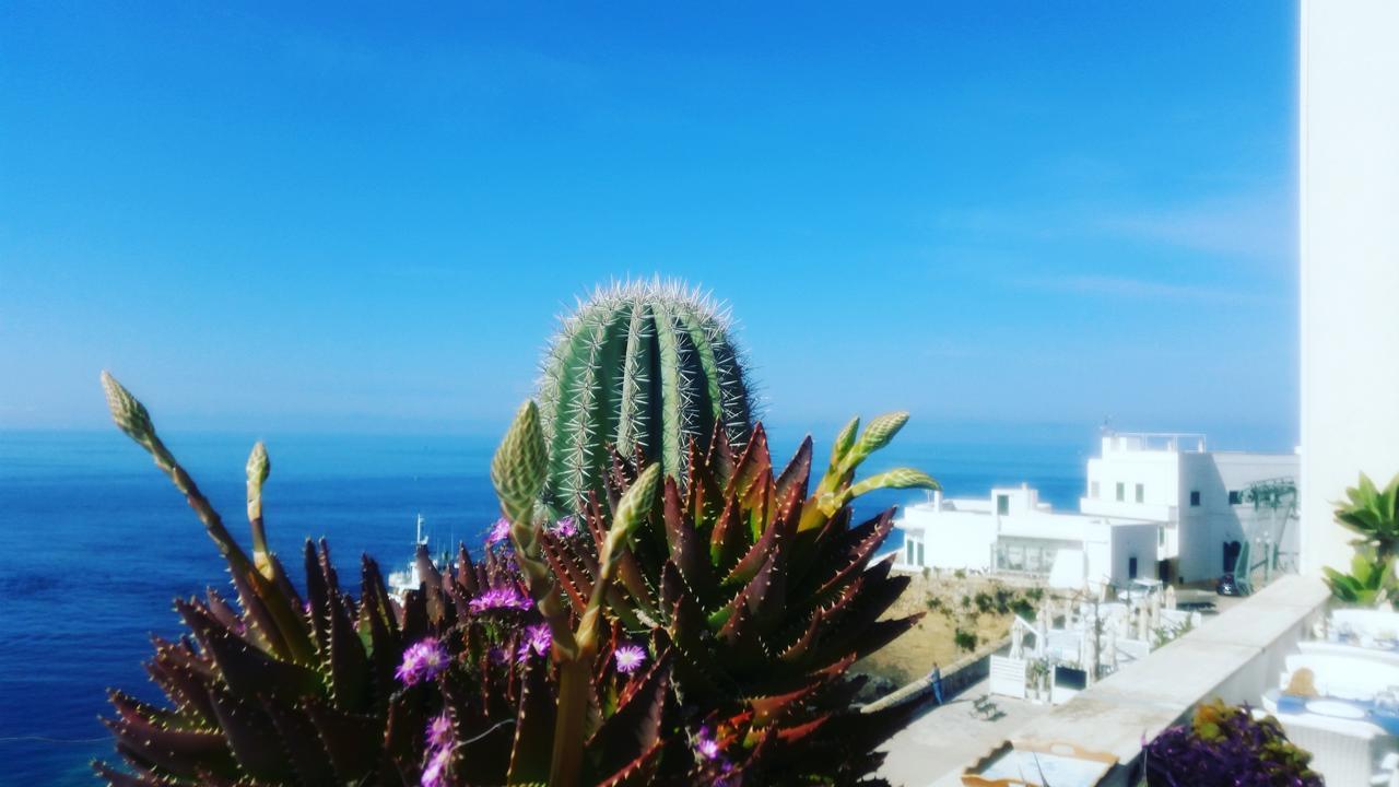 غالّيبولي B&B Punta Cutieri المظهر الخارجي الصورة